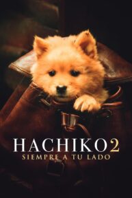 Image Siempre a tu lado - Hachiko 2